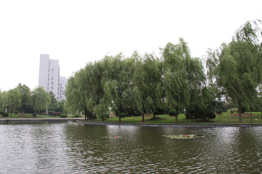 園林景觀