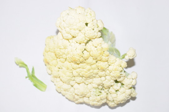 有機(jī)花菜