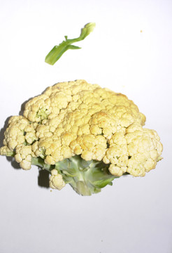 有機(jī)花菜