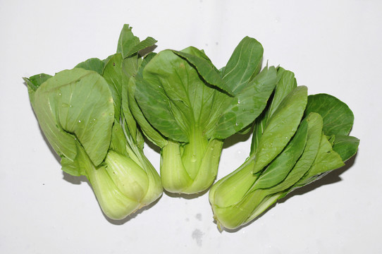 青菜