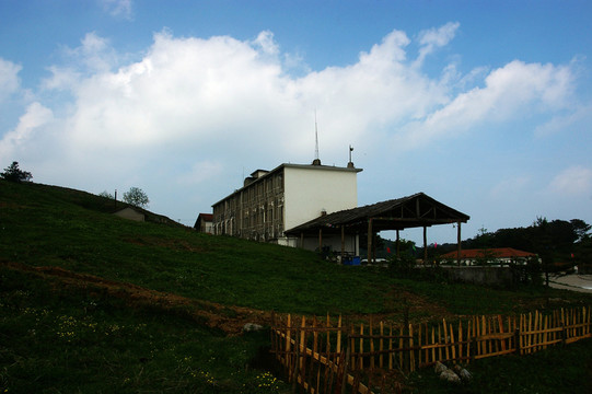 百里荒山楂樹文化園