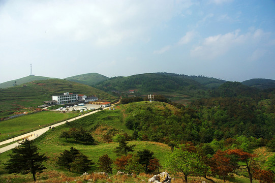 百里荒山楂樹文化園
