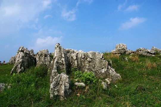 百里荒山楂樹文化園