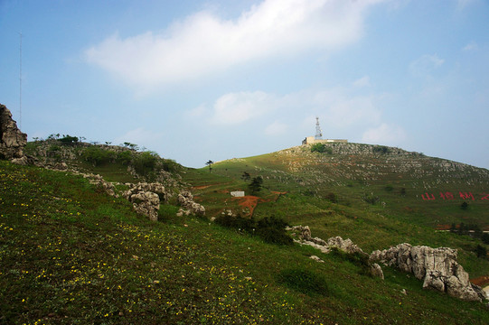 百里荒山楂樹文化園