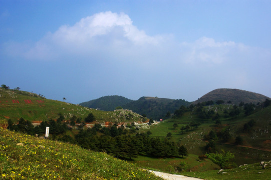 百里荒山楂樹文化園