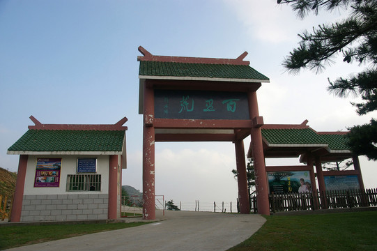 百里荒山楂樹文化園