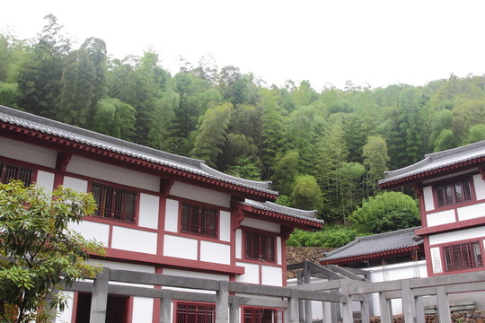 禪寺