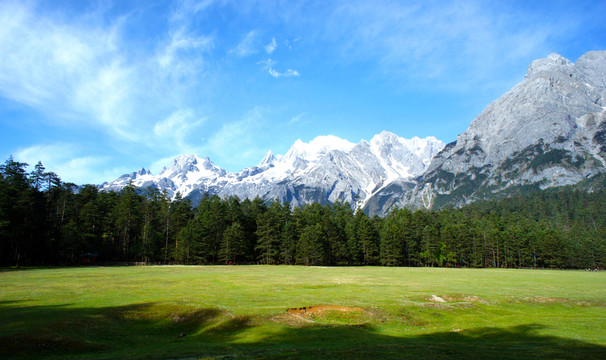 雪山 草原