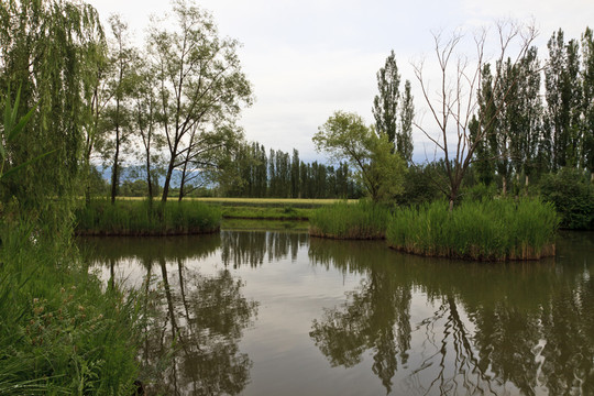 小河