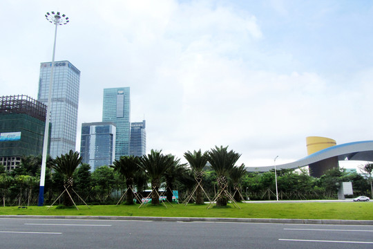 深圳建筑群