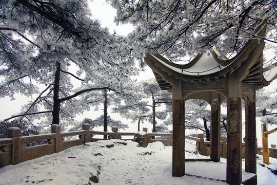 雪景 黃山雪景