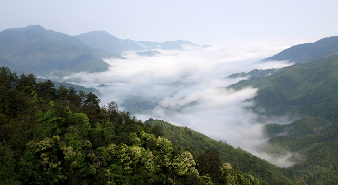 山間云海