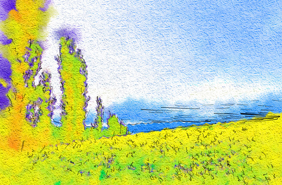 田野