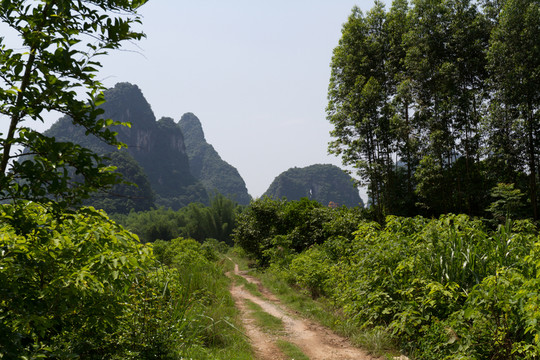 陽朔田園風(fēng)光