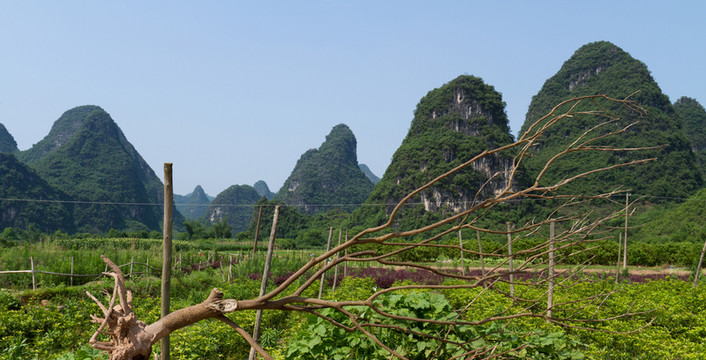 桂林陽(yáng)朔田園風(fēng)光
