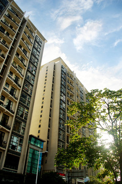 逆光下的東莞建筑