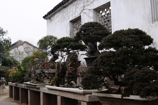留園景觀