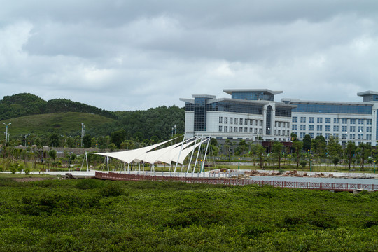 北部灣廣場 紅樹林景觀