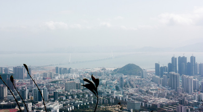 深圳 南山區(qū)城市風(fēng)光