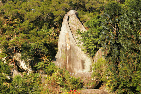 廈門(mén)萬(wàn)石植物園 象鼻峰