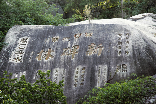 廈門萬(wàn)石植物園 石刻