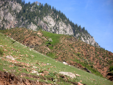 山