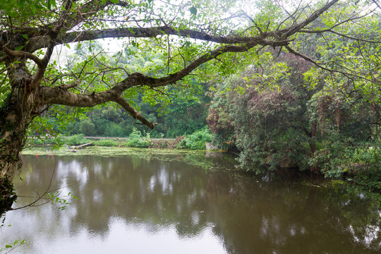繽紛湖景