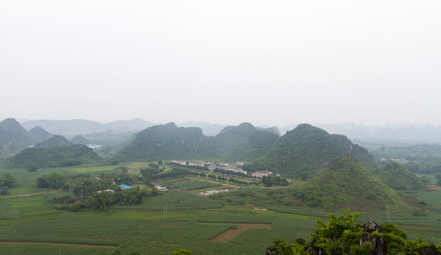 廣西龍州 蔗田風(fēng)光