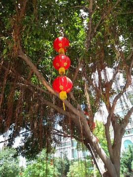 番禺東涌水鄉(xiāng)景點 燈籠