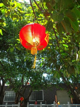 番禺東涌水鄉(xiāng)景點