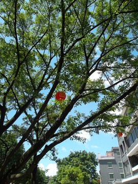 番禺東涌水鄉(xiāng)景點