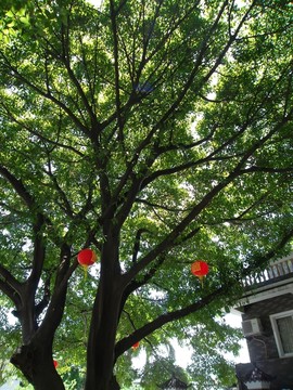 番禺東涌水鄉(xiāng)景點