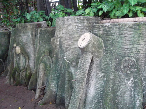 樹樁