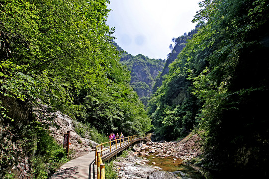 陜西商南金絲峽大峽谷