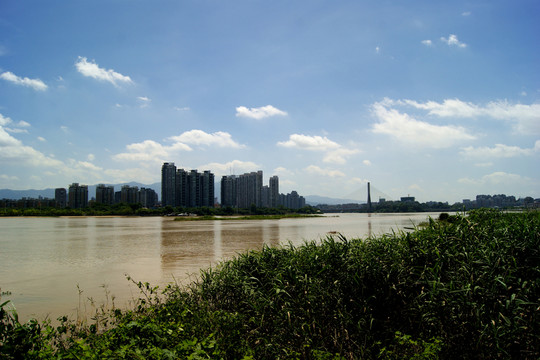 夏日江濱
