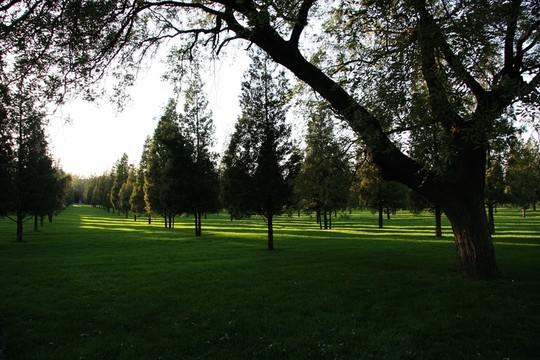天壇公園 綠化帶