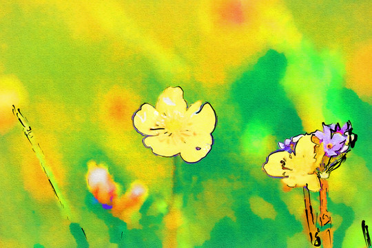 花兒