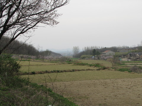 桃花源里人家