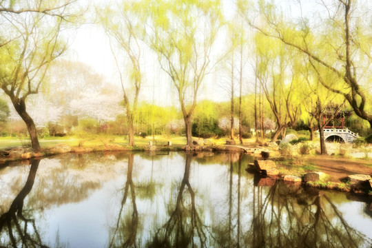 南京梅花山紅樓藝苑內(nèi)景色