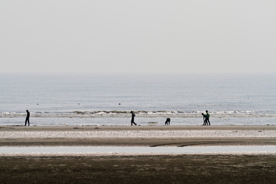 海灘