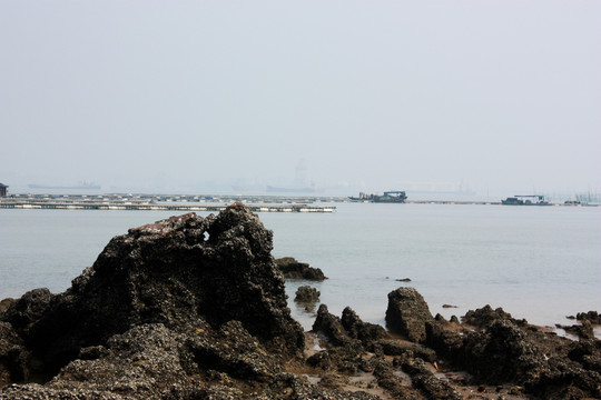 礁石與大海