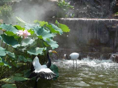 蓮花仙境