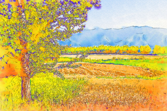 田野