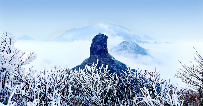 雪兆金頂