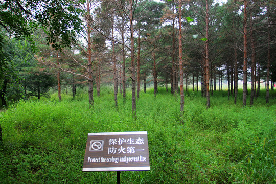通遼 大青溝風(fēng)景區(qū)