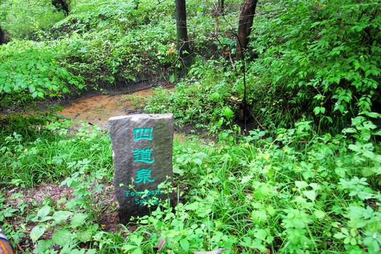 通遼 大青溝風(fēng)景區(qū)