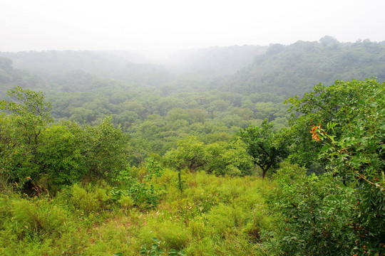 通遼 大青溝風(fēng)景區(qū)