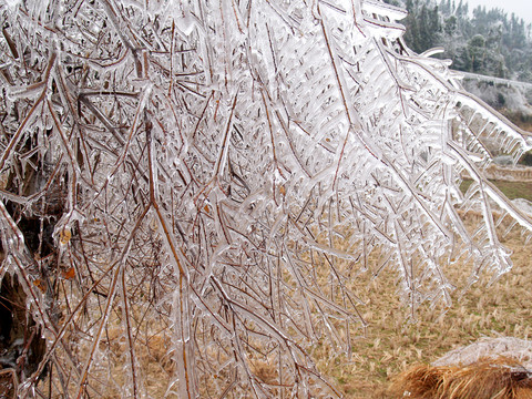 雪花  冰雪 雪條