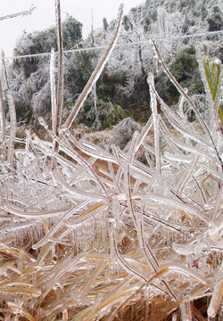 雪花 冰凍
