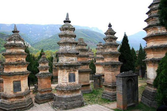 少林寺塔林